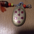 detail n�pisu na t�pytce